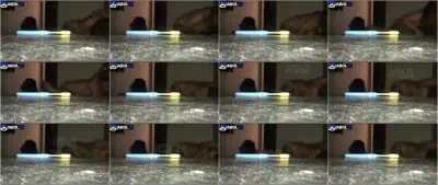 Sa kalye nagkaaubutan ng libog pagkatapos ng klase