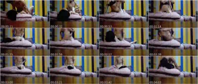 Wala kasing Magandang Palabas sa TV