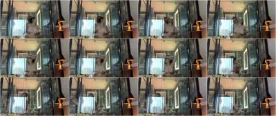 Lambingin moko’ pakita mo kung sino ka!